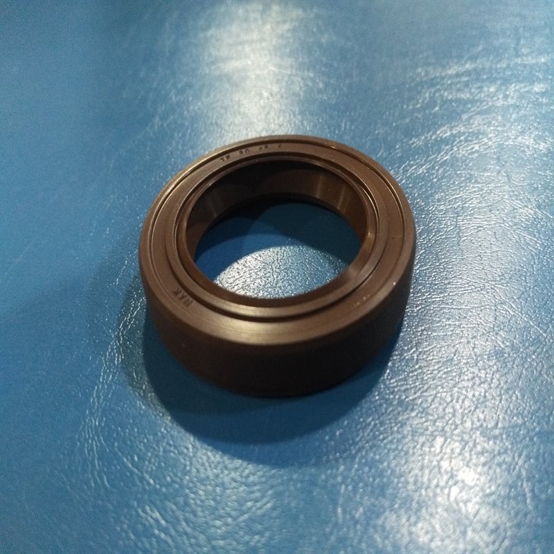 Metal Case w/Viton Rubber Coating EAI VITON Oil Seal 55mm X 80mm X 10mm 6 PCS TC Double Lip w/Stainless Steel Spring 